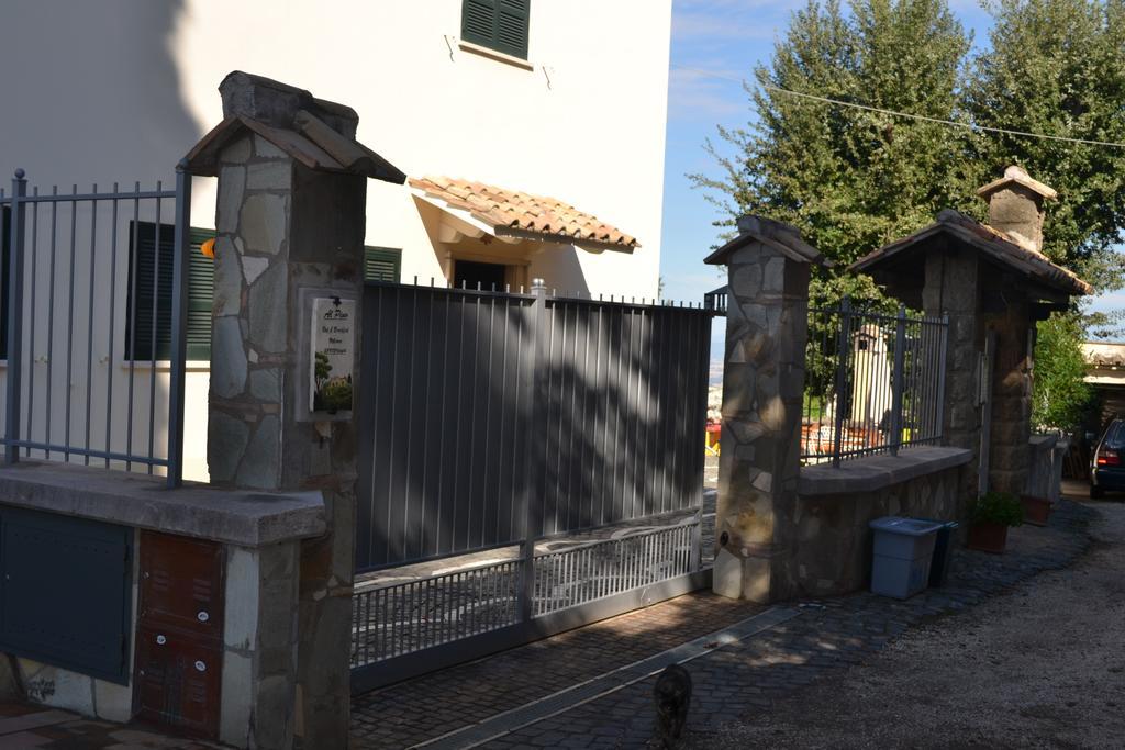 Al Pino B&B Grottaferrata Exterior photo